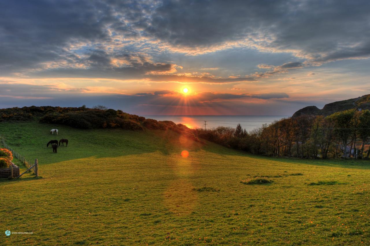 Queensbridge Hotel Aberystwyth Dış mekan fotoğraf
